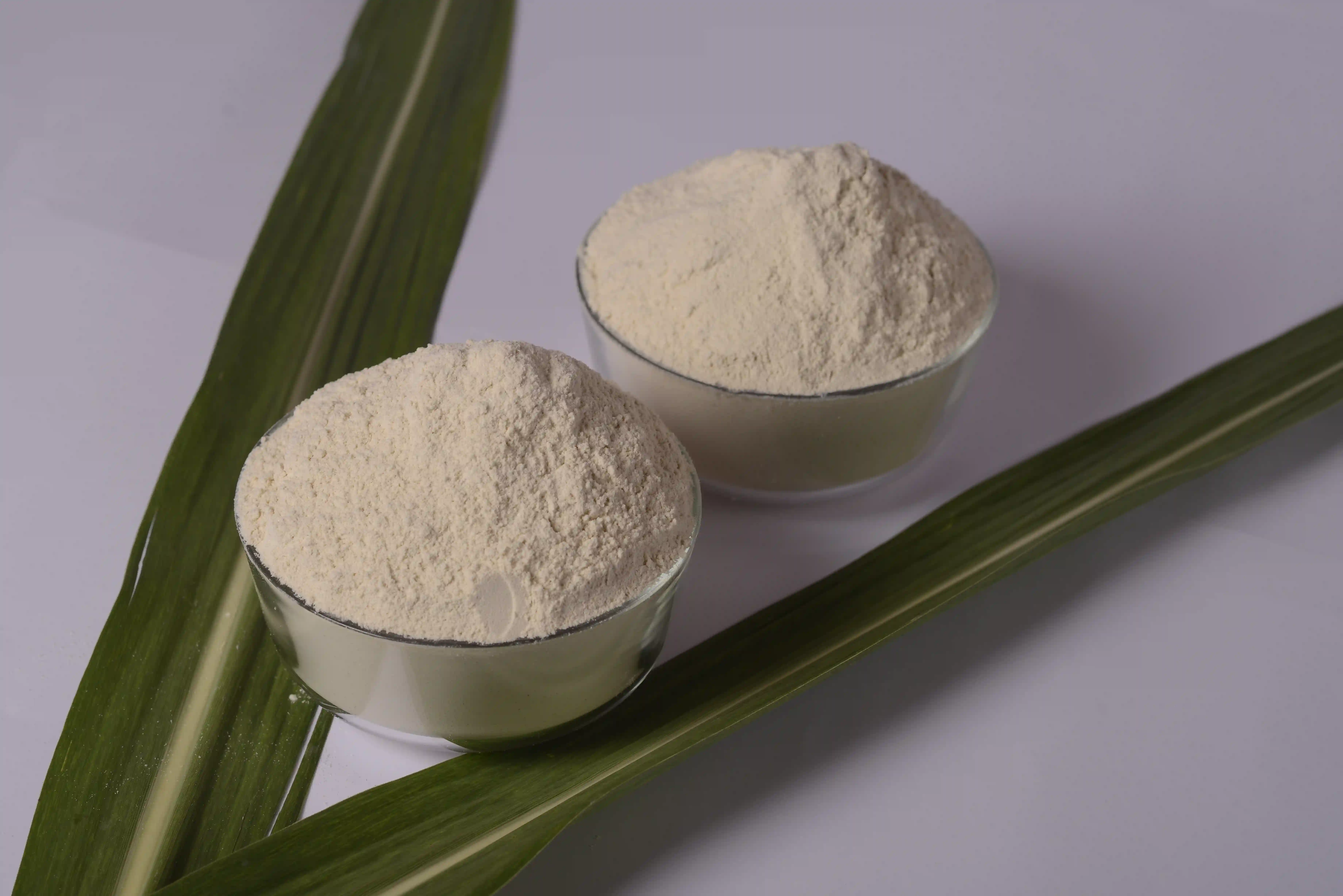 Plant fiber ingredients product
